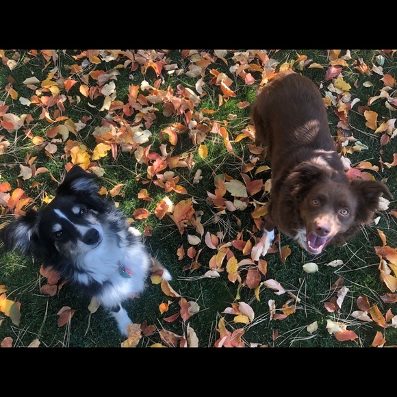 Meet your Posher, Sarah - Picture 1 of 1